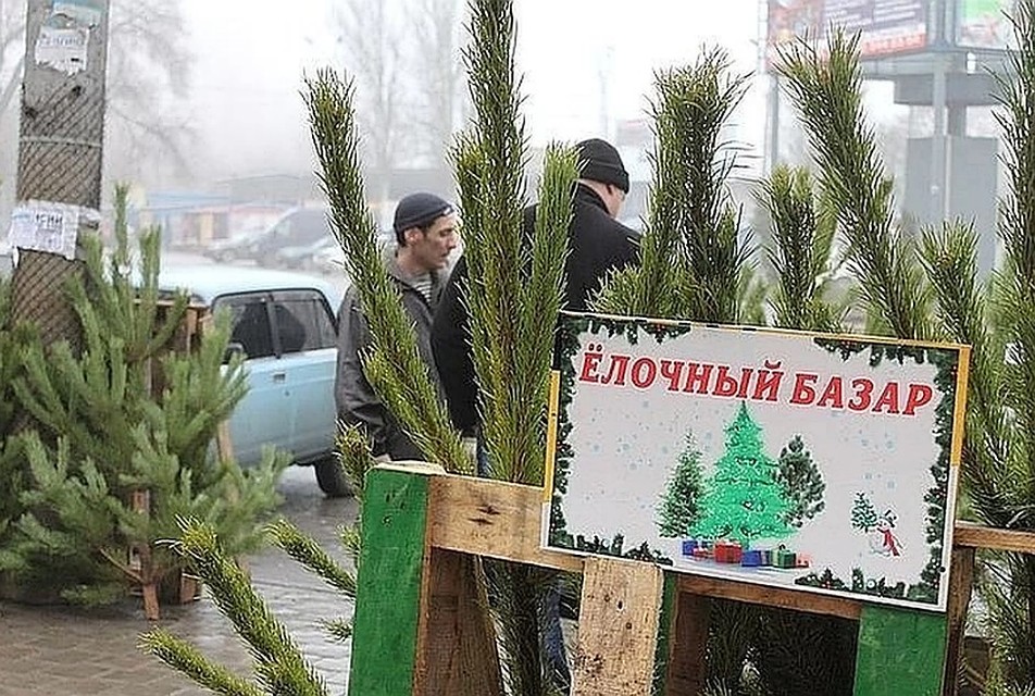Фото: Никита МАКАРЕНКОВ