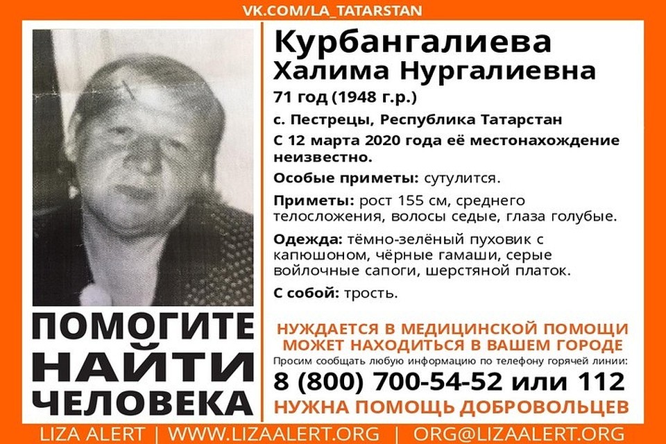 Фото: ПСО "Лиза Алерт"