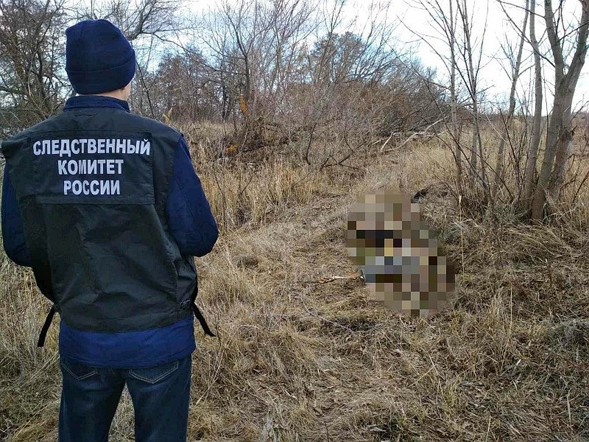 Труп был найден рыбаками возле пруда. Фото регионального СУ СКР