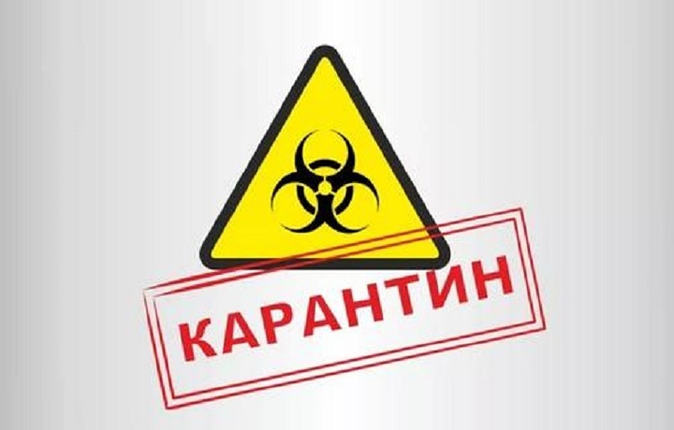 Иллюстративное фото