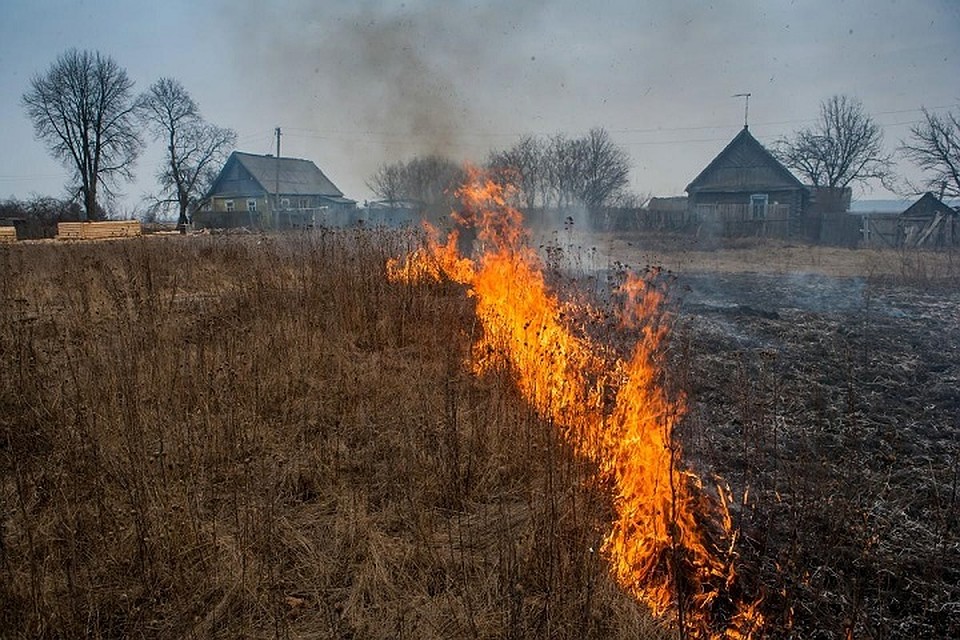 Во время пала сухой травы гибнут люди