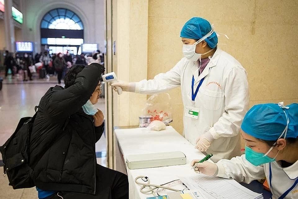 Коронавирус мутирует настолько медленно, что его штаммы между собой очень похожи