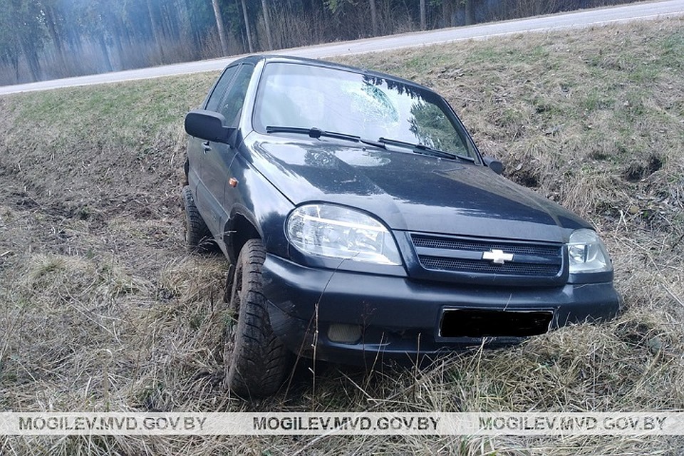 "Нива" оказалась в кювете. Фото: УВД Могоблисполкома.