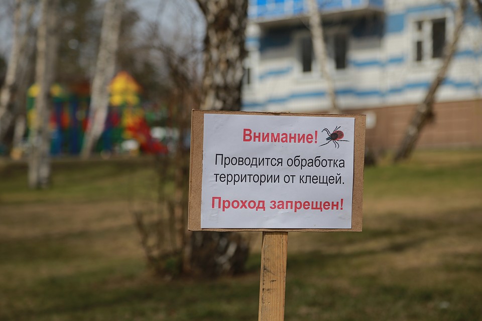 От клещей в Санкт-Петербурге за неделю пострадали уже семь человек.
