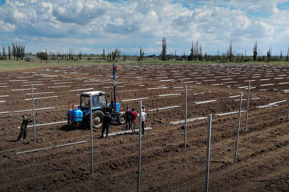 Ожидаем урожай – 25-30 тонн с одного гектара. Фото: пресс-служба КФУ.