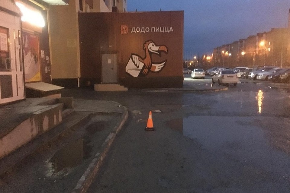 В Новом Уренгое иномарка, сдавая назад, сбила пешехода Фото: Госавтоинспекция Ямала
