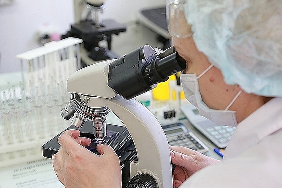 У российских специалистов есть успешный опыт разработки вакцины против Эболы
