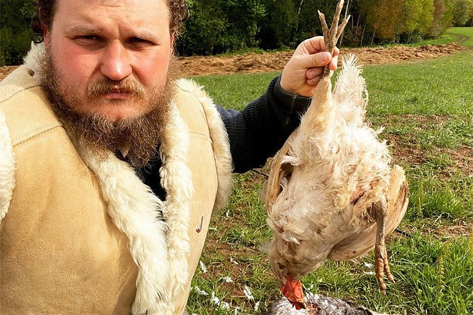Олег Сирота: "Друзья, у нас несчастье. Стая одичавших собак сегодня ночью напала на наш курятник и подавила почти всех наших курочек. "