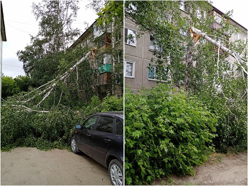 Фото: «ЧП Омск»