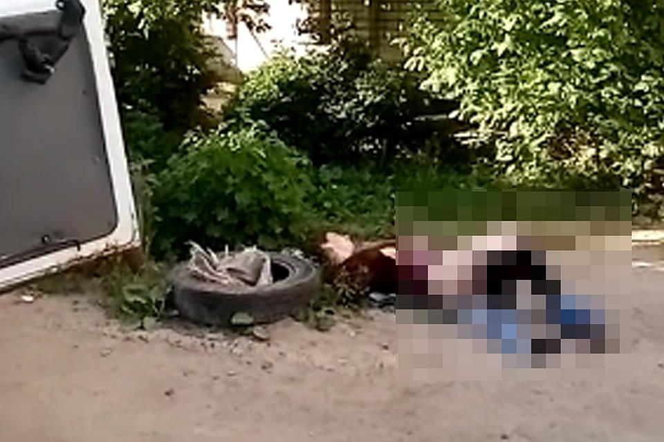 Молодая женщина родила ребенка прямо у подъезда в Дзержинске. Фото: "Подслушано Дзержинск"