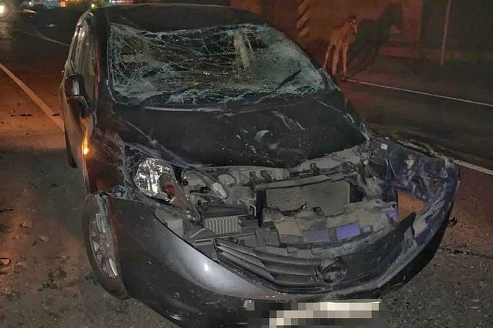 Машина получила крайне серьезные повреждения после встречи с лошадьми