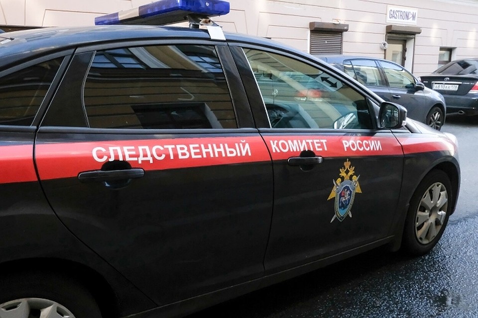 Следком заинтересовался теплицей за миллион рублей для интерната в Ленобласти.