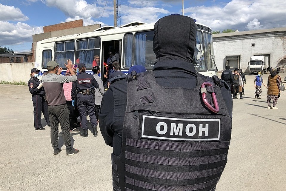 Фото: пресс-группа УМВД