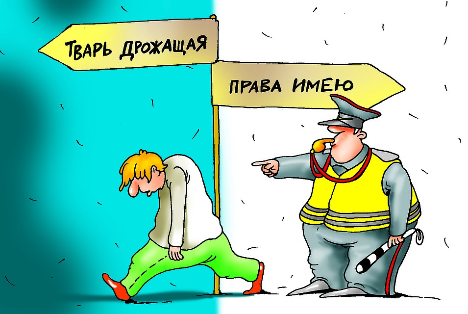 Архив "КП".
