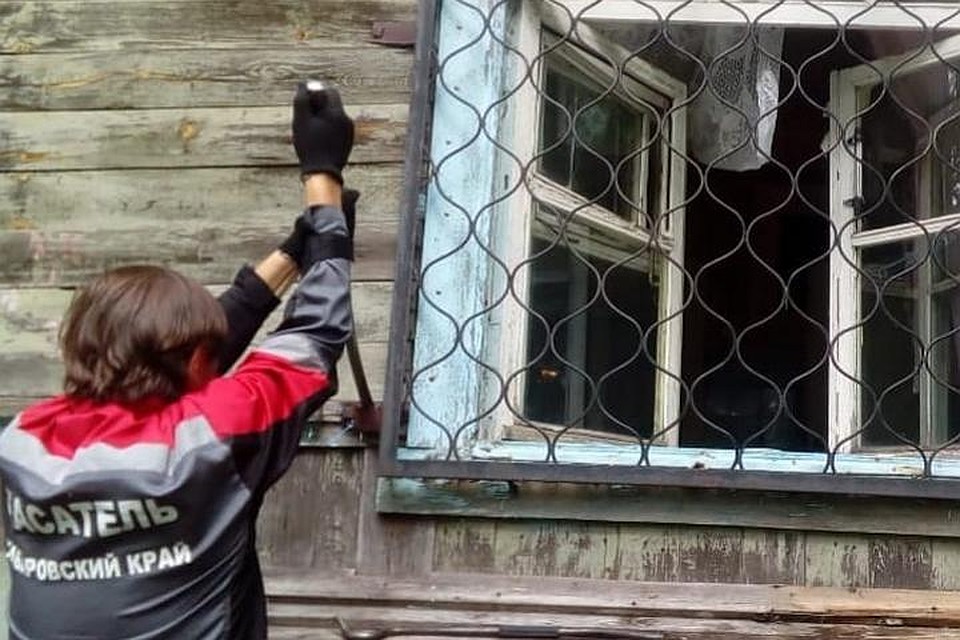 В Хабаровском крае сотрудники аварийно-спасательной службы спасли собак от голодной смерти