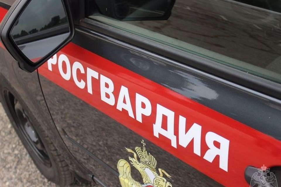 Двух потерявшихся сыновей удалось разыскать в Кузбассе. ФОТО: пресс-служба Управления Росгвардии России по Кемеровской области.