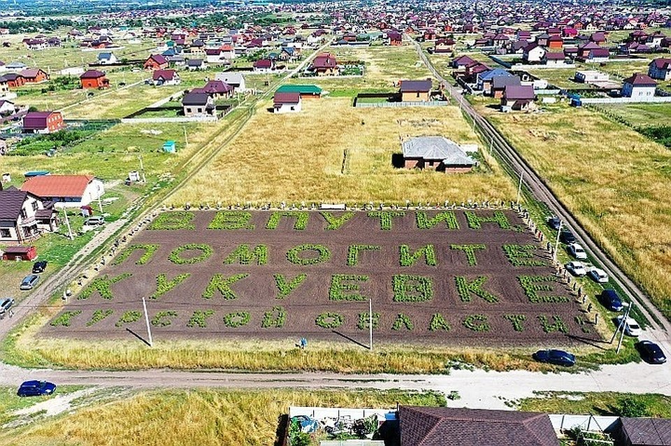 Фото Кукуевка New