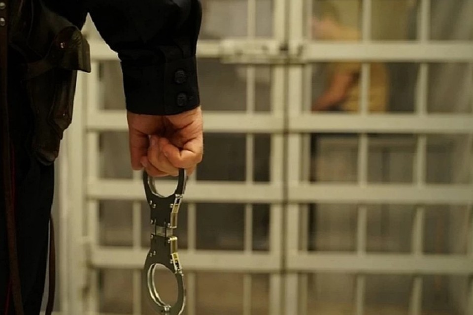 Молодой человек получил 11 лет колонии строгого режима.