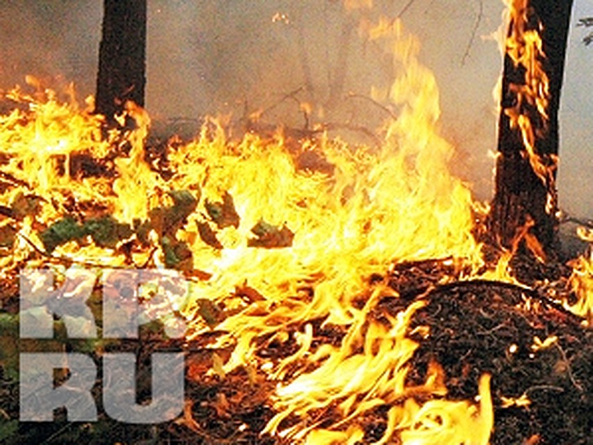 Пока в Татарстане пожары тушат быстро и урон они наносят минимальный