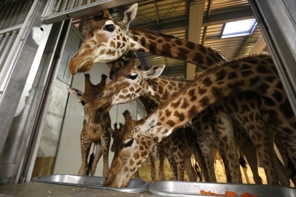 Reuters