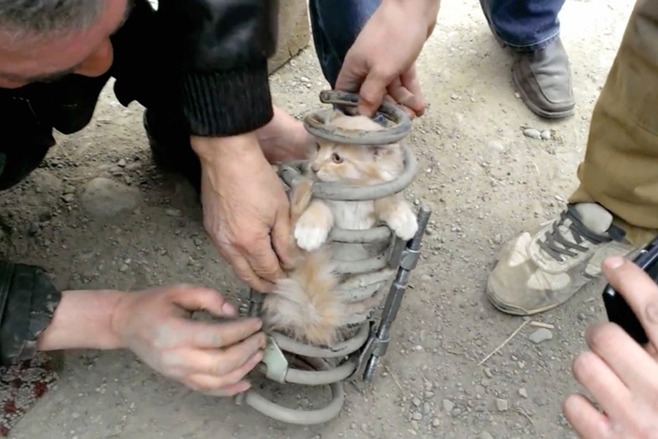 кадр с видео