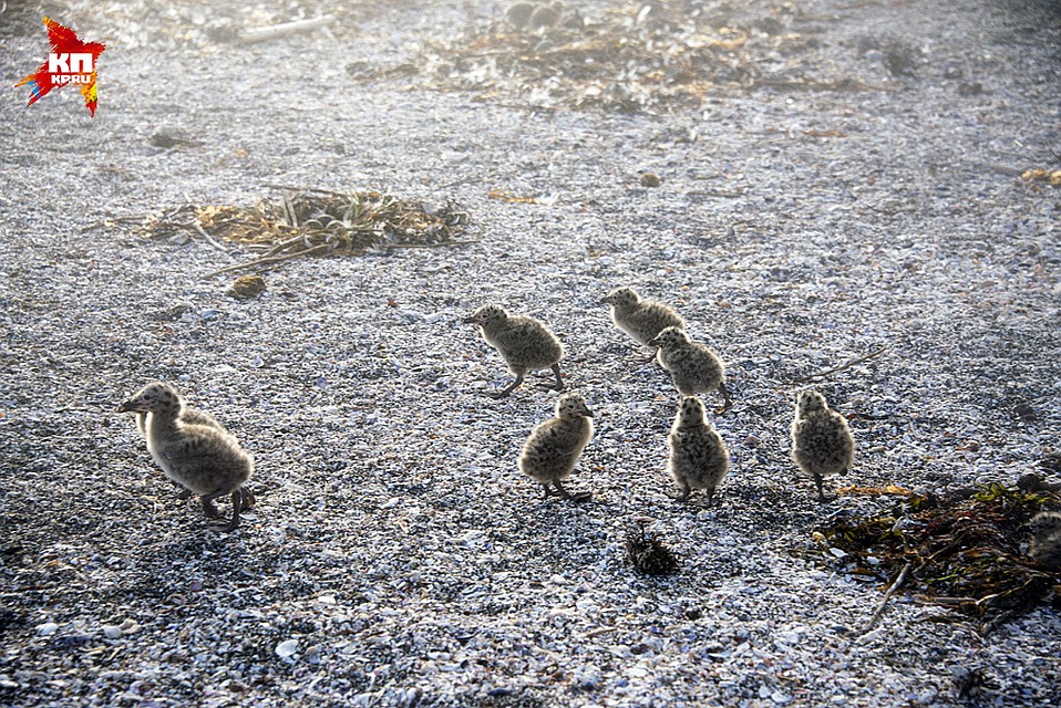 Фото: Леонид ЗАХАРОВ