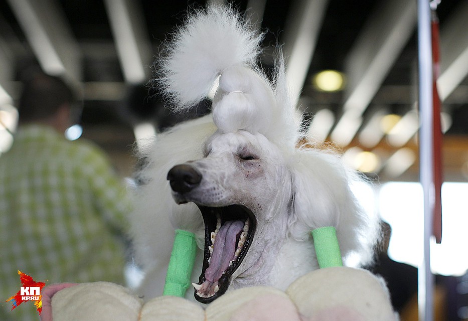 Фото: REUTERS