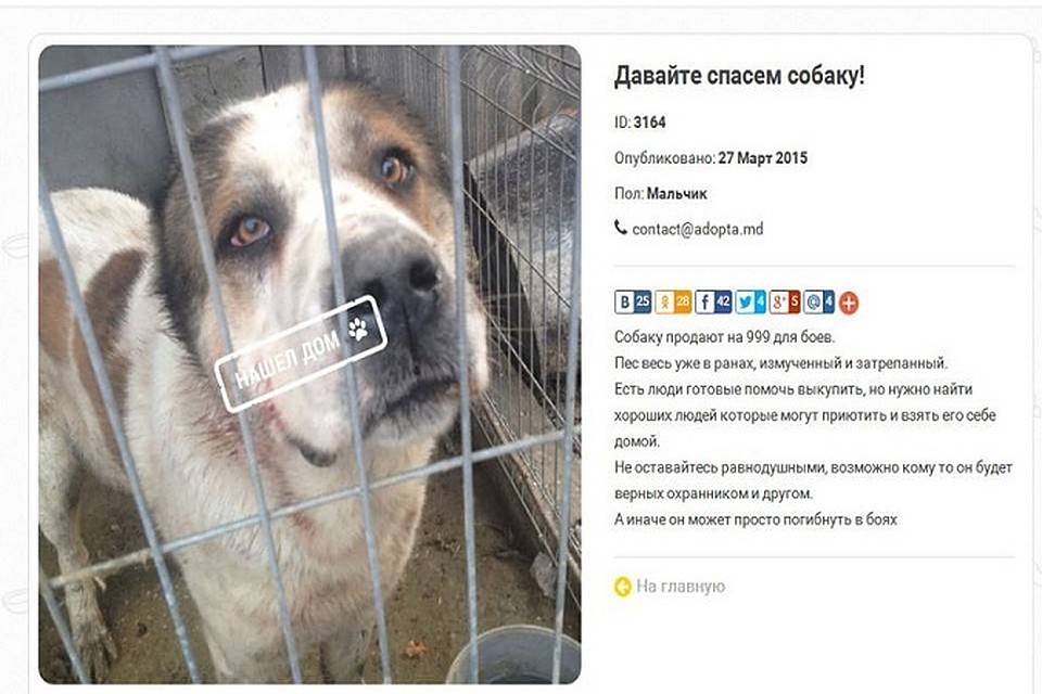 Фото: соцсети