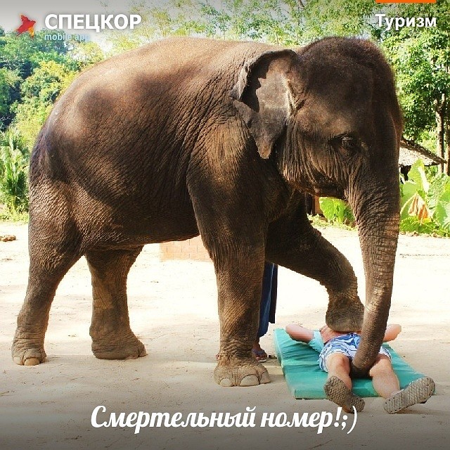 Фото: Мобильное приложение «Спецкор» от «Комсомольской правды»