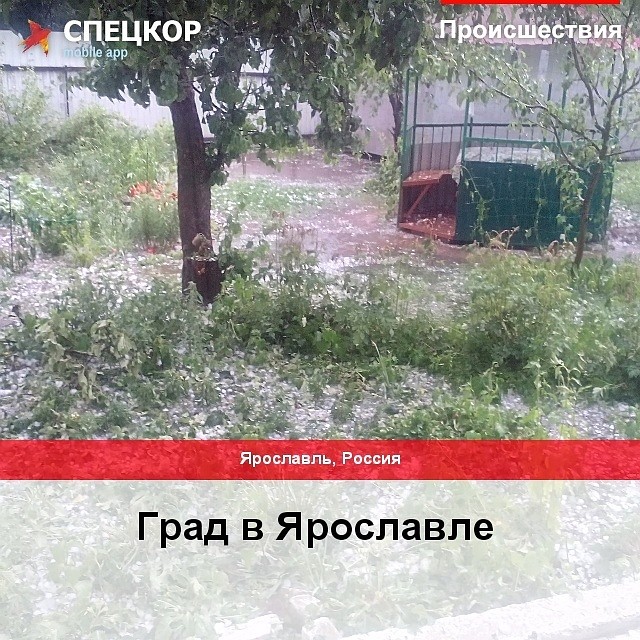 Фото: Мобильное приложение «Спецкор» от «Комсомольской правды»