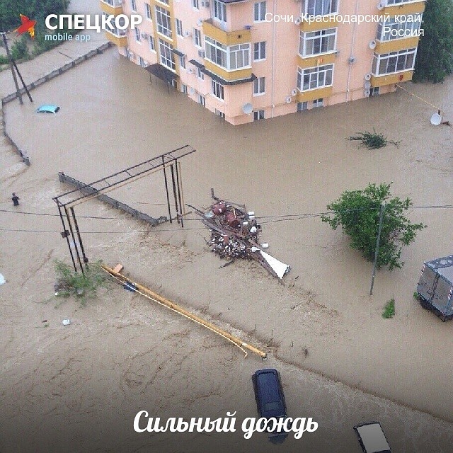 Фото: Мобильное приложение «Спецкор» от «Комсомольской правды»