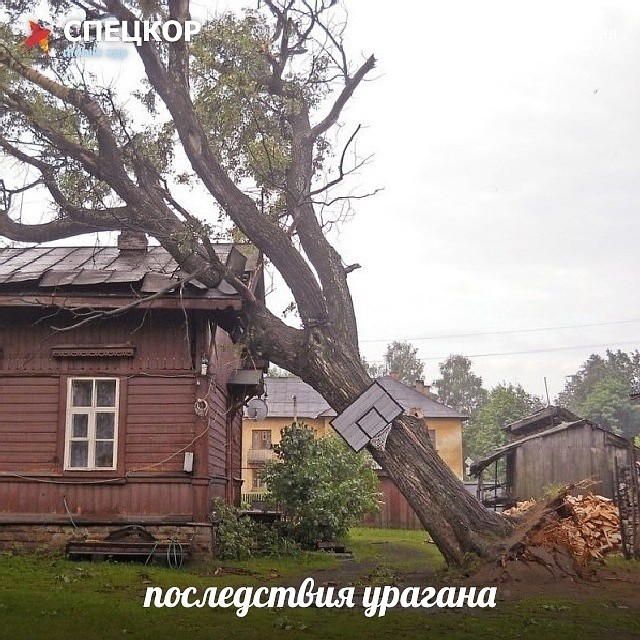 Фото: Мобильное приложение «Спецкор» от «Комсомольской правды»