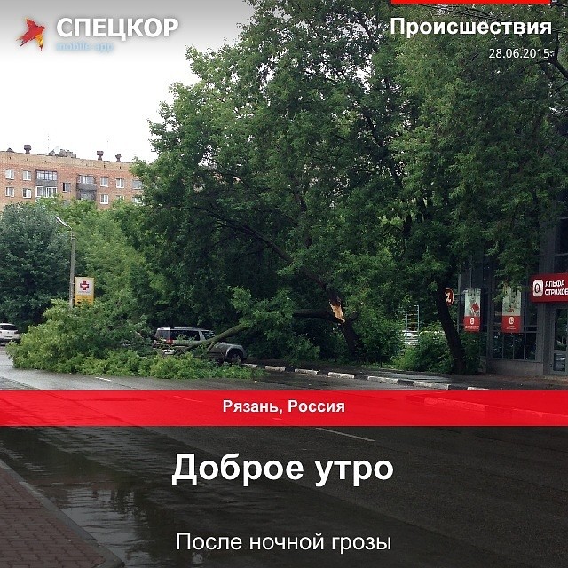 Фото: Мобильное приложение «Спецкор» от «Комсомольской правды»
