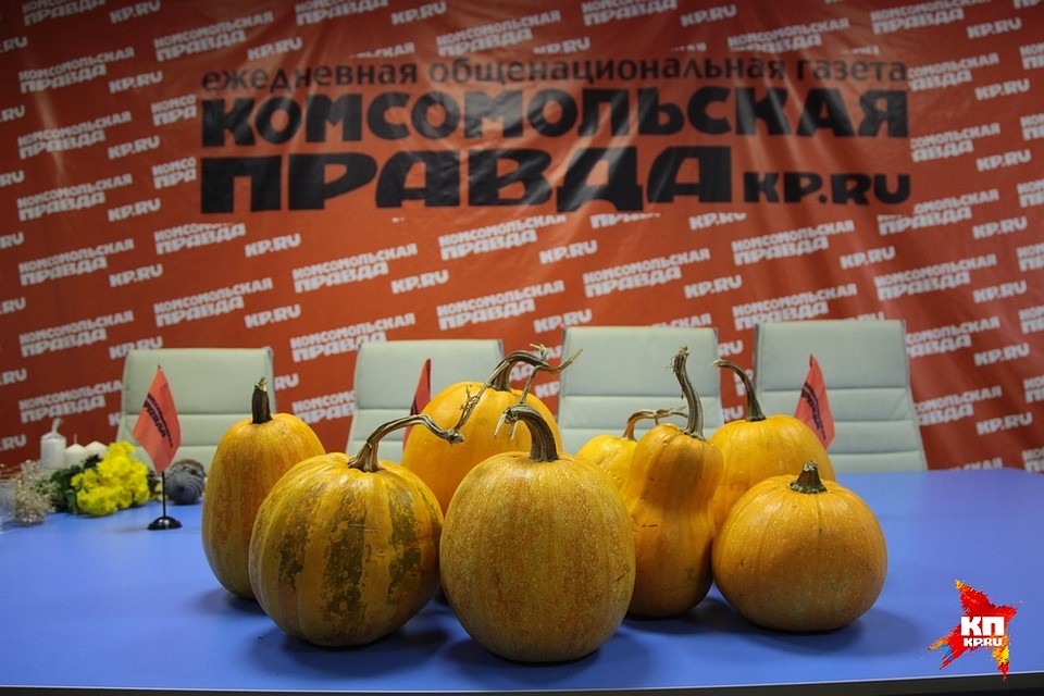 Фото: Кристина БРАЖНИКОВА