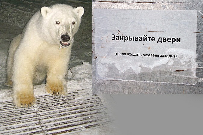  ������� ���� ������ ���� 