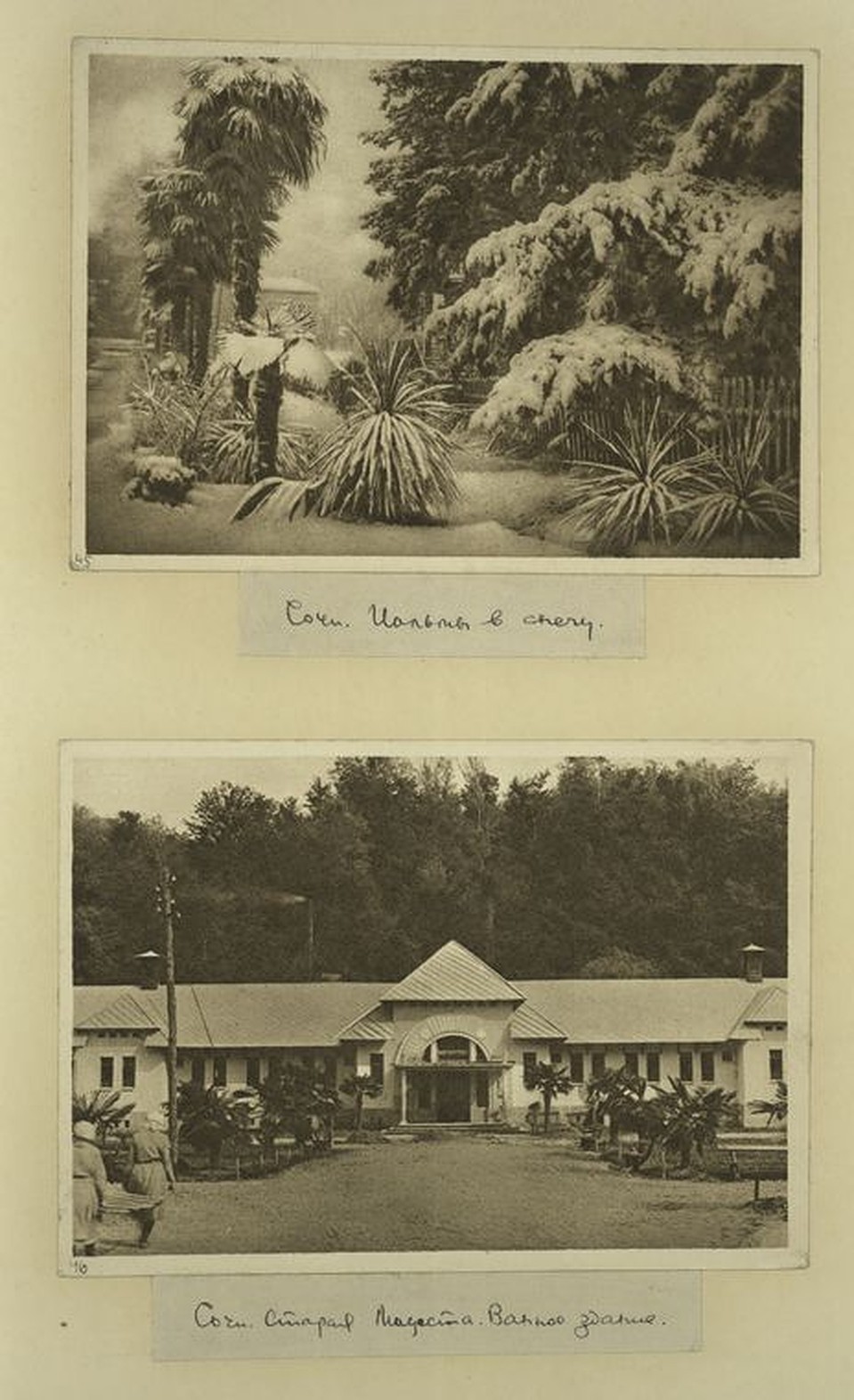 digitalcollections.nypl.org