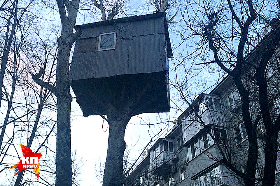 Расположился этот скворечник на высоте третьего этажа.
