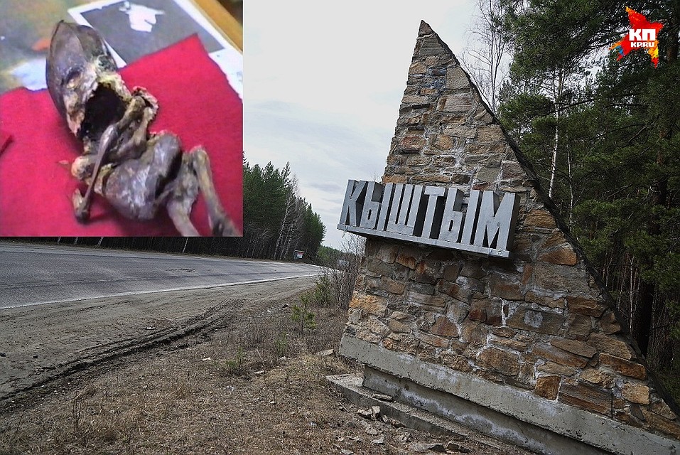 20 лет назад Алешеньку увезли из Кыштыма в неизвестном направлении