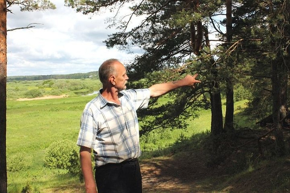 Лесов станет больше.