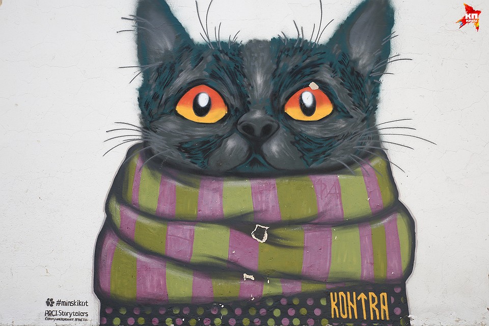 «Кот в шарфе».