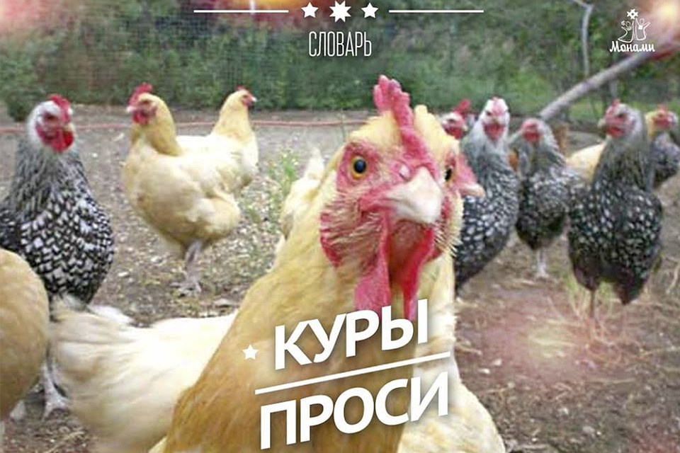 Фото: Андрей Соловьев