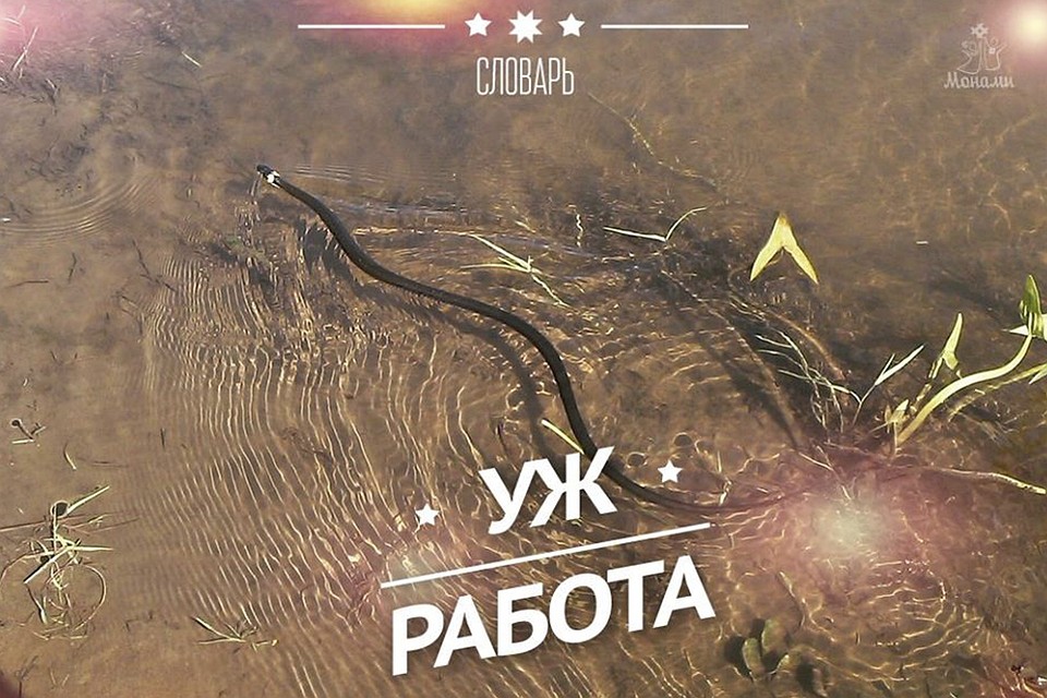 Фото: Андрей Соловьев
