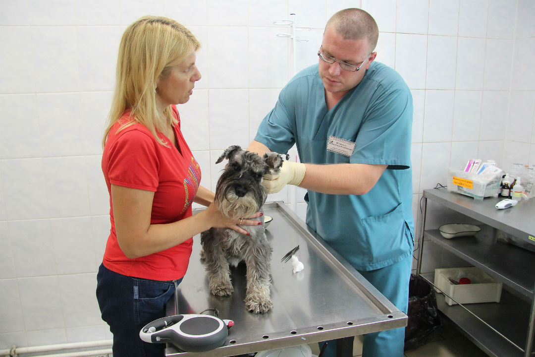 вызов на дом киров девочек