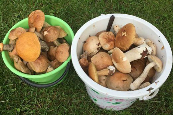 Фото: Ирина НОВИКОВА.