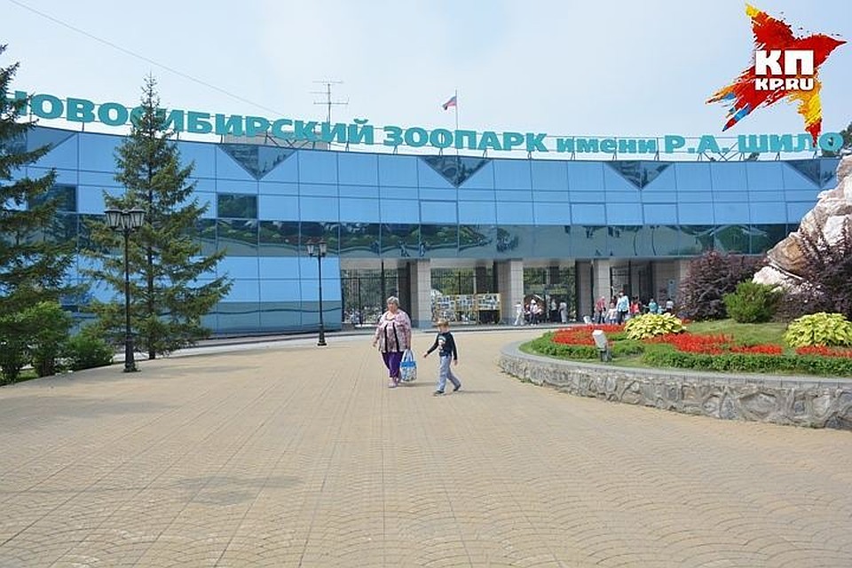 Негосударственный пенсионный фонд пенсия умершего пенсионера