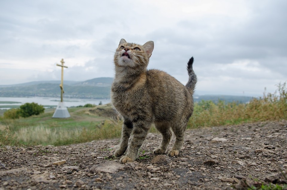 Фотоохота за чудесами родного края Фото: Андрей ЦЫГАНОВ