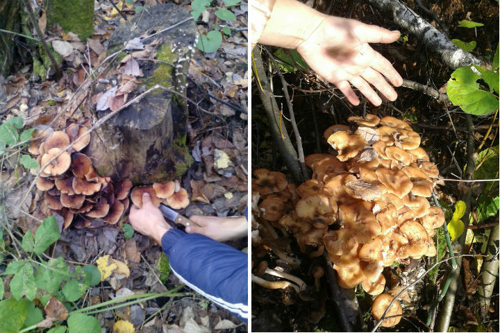 Фото: соцсети