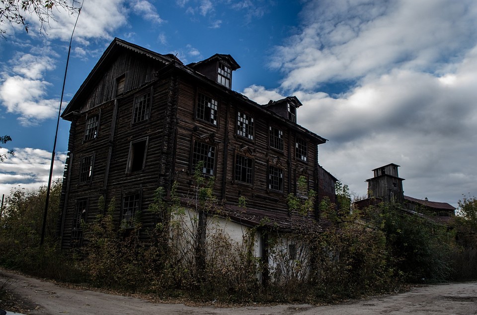Фотоохота в Кинель-Черкасском районе: так вот ты какой, олень благородный Фото: Андрей ЦЫГАНОВ