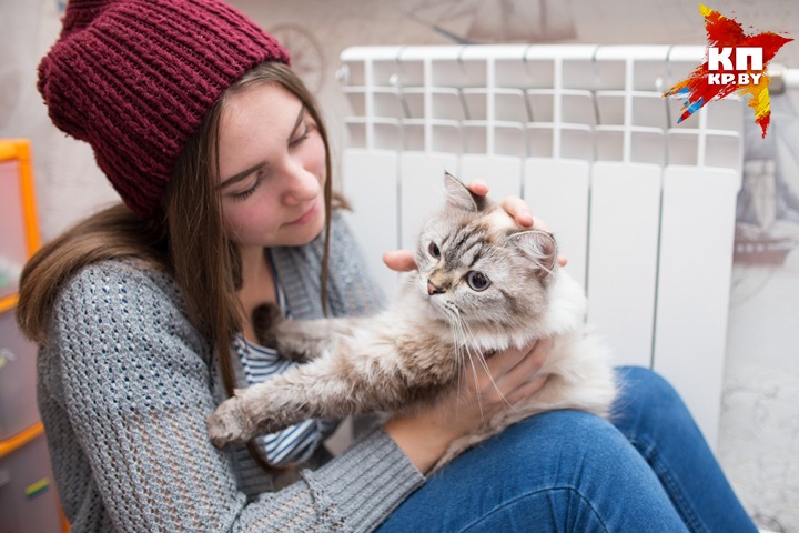 Европейцы давно привыкли экономить: надо только теплее одеться и согреваться горячим чаем. Ну, или обнять домашнее животное.
