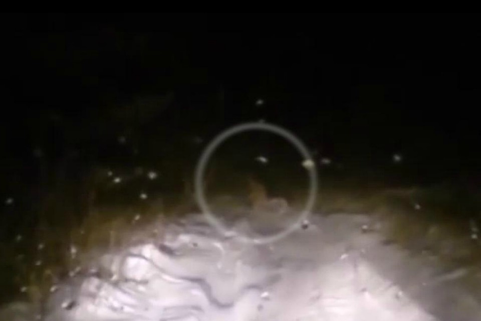 Скриншот с видео